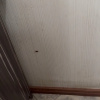 https://cdn.worldota.net/t/100x100/hotel_review/c5/80/c580555503771d7deb5825e245d8f8d2fc9ca141.JPEG