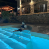 https://cdn.worldota.net/t/100x100/hotel_review/c5/84/c58444f370cf948b12d8012757663d4e7a22cad5.JPEG