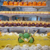 https://cdn.worldota.net/t/{size}/hotel_review/c5/b6/c5b64baee3c8ca001a839f65096c75b94b8568b3.png