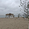 https://cdn.worldota.net/t/100x100/hotel_review/c5/be/c5be0e4a5f1069f01dfbf82b93ab571ff6e1ff49.JPEG