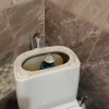 https://cdn.worldota.net/t/100x100/hotel_review/c5/f6/c5f6e2393e1ba394ea439b46af7b974e8a5fbe08.JPEG