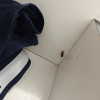 https://cdn.worldota.net/t/100x100/hotel_review/c6/37/c6377fbb87ed4b2e872e71311bfa7d3b6d873109.JPEG
