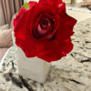 https://cdn.worldota.net/t/100x100/hotel_review/c6/ac/c6ac1f4e55e3c7afb81b26c8dbf8e8c7492e4423.JPEG