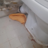 https://cdn.worldota.net/t/100x100/hotel_review/c7/31/c731bee92c9e9b8a63185ce72ffa98930a74db87.JPEG