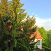 https://cdn.worldota.net/t/{size}/hotel_review/c7/8c/c78c329040af287b1d8c3fefc3c2dcf716992628.JPEG