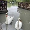 https://cdn.worldota.net/t/100x100/hotel_review/c7/a8/c7a85cd4223b98241af14c119d97f18267063e5a.JPEG