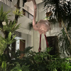 https://cdn.worldota.net/t/100x100/hotel_review/c8/36/c83635c16ecc40a8b616e4b69838b622ac0f48b6.JPEG