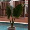 https://cdn.worldota.net/t/100x100/hotel_review/c9/3a/c93a6ad884bfd43d0e24d7f2876444098e87adac.JPEG