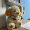 https://cdn.worldota.net/t/{size}/hotel_review/c9/8b/c98b335c5337c9059ef15c3ad29b77e6fe1a80c7.JPEG