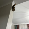 https://cdn.worldota.net/t/{size}/hotel_review/cd/06/cd0694dcf1067e3400750ee2d5057f4354e944d8.JPEG