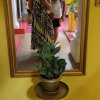 https://cdn.worldota.net/t/100x100/hotel_review/cd/07/cd075d693173a13355fce89cafe19f6ea6251dd9.JPEG