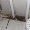 https://cdn.worldota.net/t/{size}/hotel_review/cd/14/cd140e28daa9e3236cd6b201bcad340ac9f7e8da.JPEG