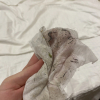 https://cdn.worldota.net/t/100x100/hotel_review/cd/67/cd674f8a7db849a0a14d256337a9678f349421ef.JPEG