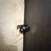 https://cdn.worldota.net/t/100x100/hotel_review/cd/76/cd7613f1eac09cf42c80fc8d6ba8bee2165a75d9.JPEG