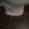 https://cdn.worldota.net/t/100x100/hotel_review/ce/56/ce56558c52658319637ea80256ca707e58fa3bf5.JPEG