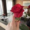 https://cdn.worldota.net/t/100x100/hotel_review/ce/71/ce7187721271de67f810dd944f5a6d601458cb9d.JPEG