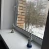 https://cdn.worldota.net/t/100x100/hotel_review/ce/c3/cec393996c9f6d8f4b1904a8b289415c46d69812.JPEG