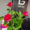https://cdn.worldota.net/t/100x100/hotel_review/cf/10/cf10a51b618d5c221826b0a6381133586d7bf337.JPEG