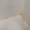 https://cdn.worldota.net/t/100x100/hotel_review/cf/48/cf48c449181ece55db02d14708963cfbe04e10cc.JPEG