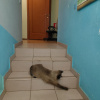https://cdn.worldota.net/t/100x100/hotel_review/cf/e4/cfe49addddb9abdf1be1d8d9fb903cc9af672f1c.JPEG