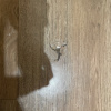 https://cdn.worldota.net/t/100x100/hotel_review/d0/2f/d02f6dab823da9d82e04854c084628ed1b54182a.JPEG