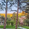 https://cdn.worldota.net/t/100x100/hotel_review/d0/9f/d09f45176a93c1b052cc61992478fb3881bdf023.JPEG
