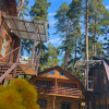 https://cdn.worldota.net/t/100x100/hotel_review/d0/fd/d0fdfd3cccbb48f6bfa22c09b97bf8f1cfbf5827.JPEG