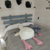 https://cdn.worldota.net/t/100x100/hotel_review/d1/48/d148ee6890466e52577cdfef69a0b30d61924abd.JPEG