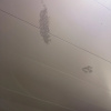 https://cdn.worldota.net/t/{size}/hotel_review/d1/bf/d1bfe9d18bb17c0cd15b736323df041d6a93e6ab.JPEG