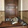 https://cdn.worldota.net/t/100x100/hotel_review/d2/0b/d20b53654bdc1c92879ddfc212debe85160d49d3.jpeg