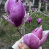 https://cdn.worldota.net/t/100x100/hotel_review/d4/2b/d42bd434c6daa9b973a6d045c53ff7b098cf7e74.JPEG