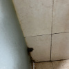 https://cdn.worldota.net/t/100x100/hotel_review/d4/69/d469660e8bb7ed28f7db5223c794ad4ceb3db251.JPEG