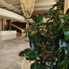 https://cdn.worldota.net/t/100x100/hotel_review/d4/9e/d49e9bd365bf6a1f3073b665de8885eb28073e86.JPEG