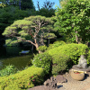 https://cdn.worldota.net/t/100x100/hotel_review/d4/fe/d4fe43e986286a3a11ccdc7e958c9259036dad47.JPEG