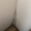 https://cdn.worldota.net/t/{size}/hotel_review/d5/68/d568a52dbf6a9daecae2cd5430093caf3927ede2.JPEG