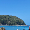 https://cdn.worldota.net/t/100x100/hotel_review/d5/75/d575d9a5863d43ff23be48a86a43385ef77af72e.JPEG