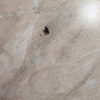 https://cdn.worldota.net/t/100x100/hotel_review/d5/7c/d57ca191e6952d4a6ae6d2ac47e5f2e0aaca2808.JPEG