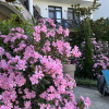 https://cdn.worldota.net/t/{size}/hotel_review/d5/cd/d5cd8fd072568c54c39b1cfbdcdf50360a970446.JPEG
