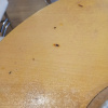 https://cdn.worldota.net/t/100x100/hotel_review/d6/9a/d69a25e6a89cdd56e6e4a132edb4528a1b45aa4d.JPEG