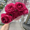 https://cdn.worldota.net/t/100x100/hotel_review/d7/41/d7410dd2149a9aedb4c9d991165a13aca7635a2e.JPEG