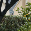 https://cdn.worldota.net/t/100x100/hotel_review/d8/29/d829244f70c830c2789c28aef0e65e7bce08dbbc.JPEG