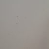 https://cdn.worldota.net/t/100x100/hotel_review/da/8d/da8d89764fc7b084d5633408710d1b022c1a00d0.JPEG