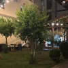 https://cdn.worldota.net/t/100x100/hotel_review/db/32/db325995dc366fbcad0f3d56b699b8f39b7e1102.JPEG