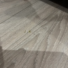 https://cdn.worldota.net/t/100x100/hotel_review/db/98/db98e22dd1f764dc09e826b1ecf38d4b21b20b14.JPEG