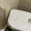 https://cdn.worldota.net/t/{size}/hotel_review/db/b2/dbb2013c40fdf52b4380432ddf6527b259188a52.JPEG