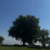 https://cdn.worldota.net/t/100x100/hotel_review/db/de/dbde15fc59d5ae6e577f37e6667570573dd5c5f8.JPEG