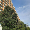https://cdn.worldota.net/t/100x100/hotel_review/dc/81/dc81054d588952823ac4e4bd05cc1f85770e2c06.JPEG