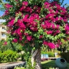 https://cdn.worldota.net/t/{size}/hotel_review/dc/eb/dcebf91dff6d106915c604e20f622cc7f80ec9f5.JPEG