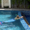 https://cdn.worldota.net/t/{size}/hotel_review/dd/76/dd7669829e3d72f771f24390a8098d3b5a483c7d.JPEG