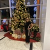 https://cdn.worldota.net/t/{size}/hotel_review/dd/d9/ddd9a4f5c629b3a0c902cad76091a392e785d3bb.jpeg